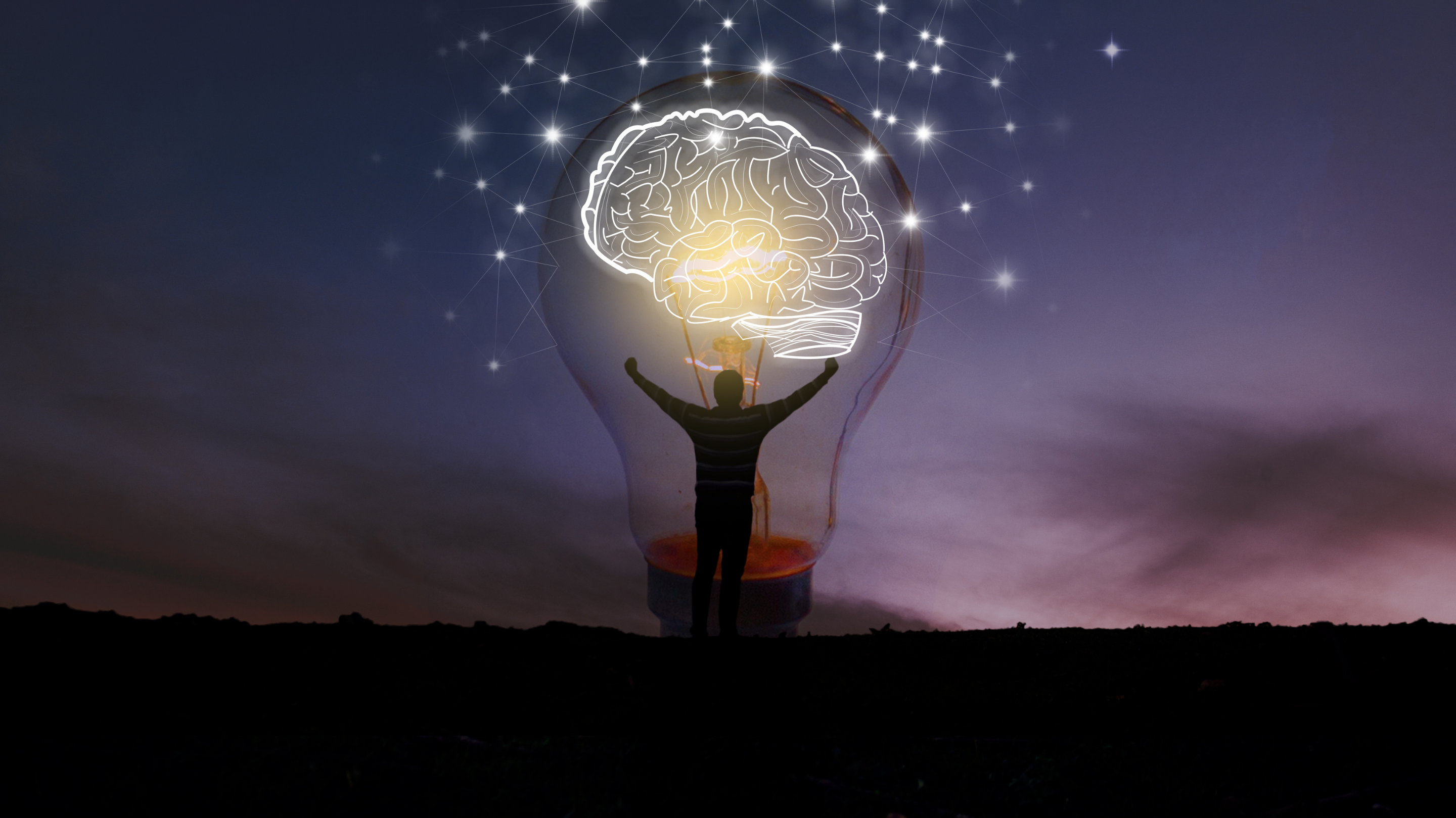 YARATICI İKİLİ PAZARLAMA ÇAĞI