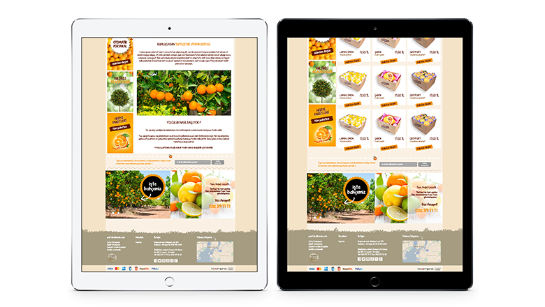 E-Ticaret Web Sitesi Tasarımı